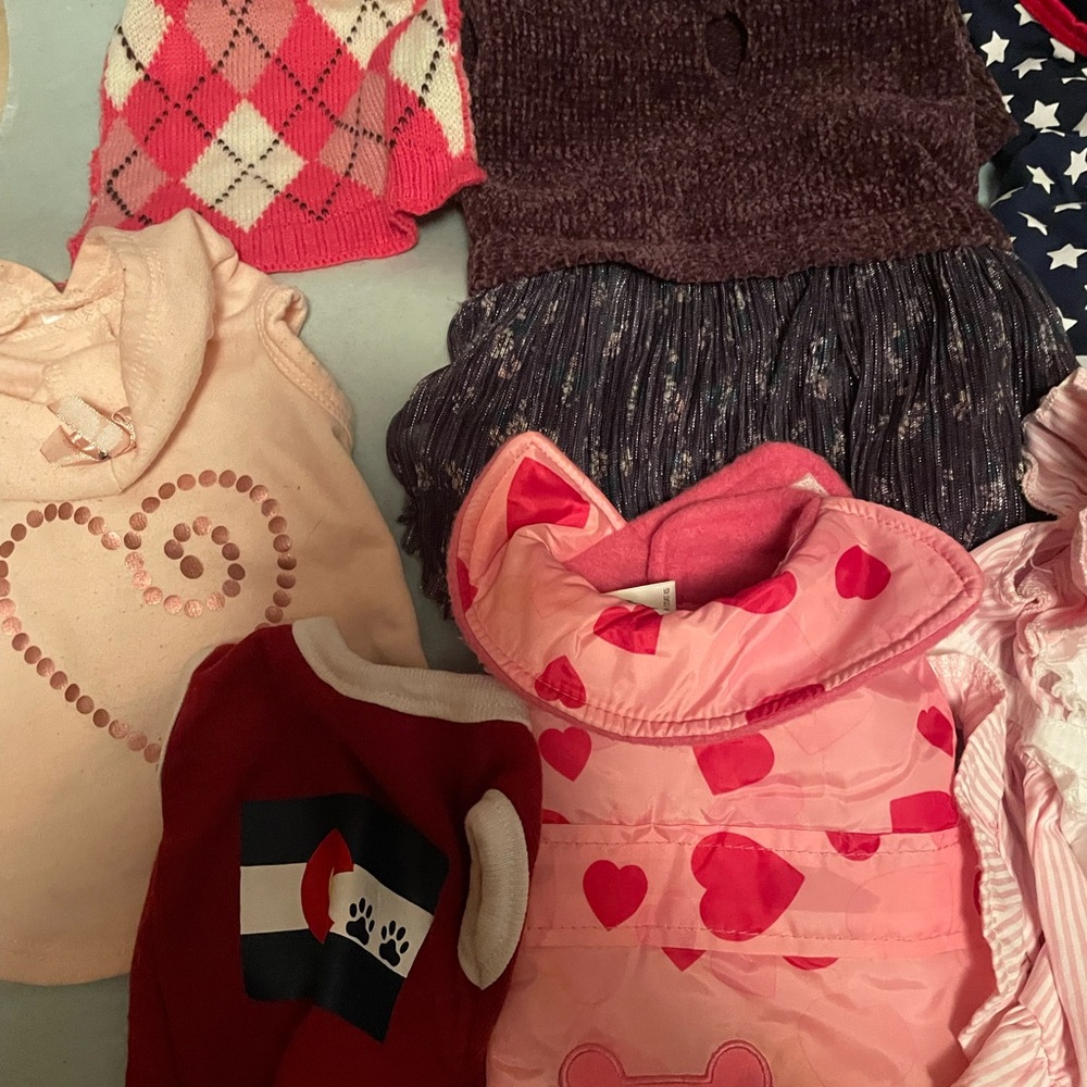 GUC Dog Clothing: Dresses, Jackets, Sweaters +  More Sz X-Small